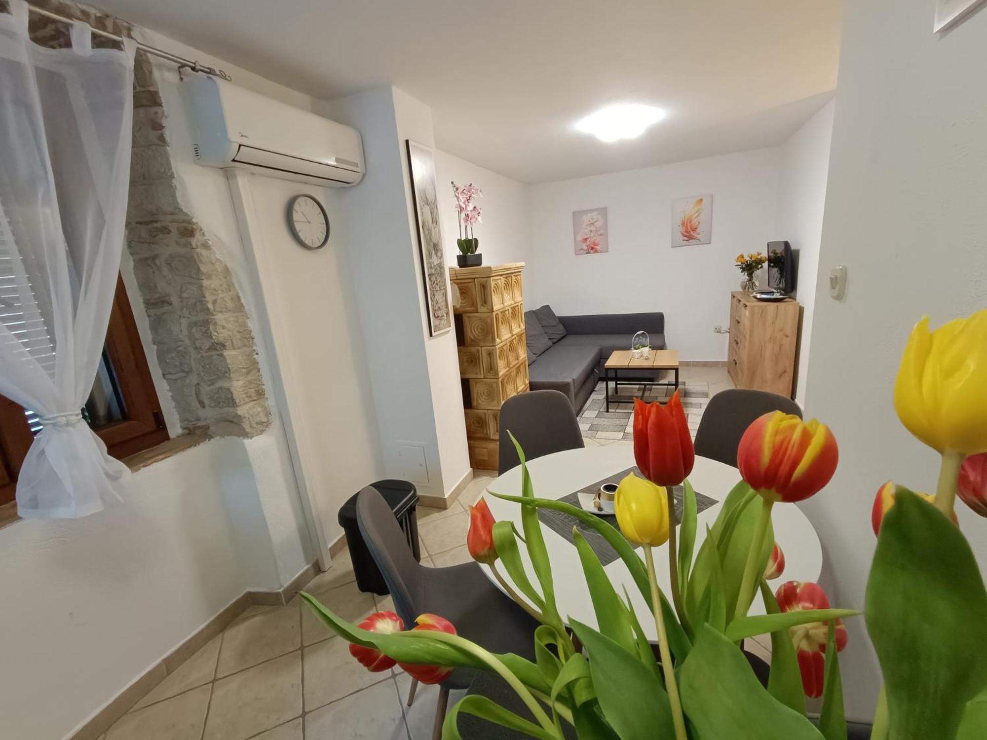 Adria Pearl Appartments Vrsar Exterior foto